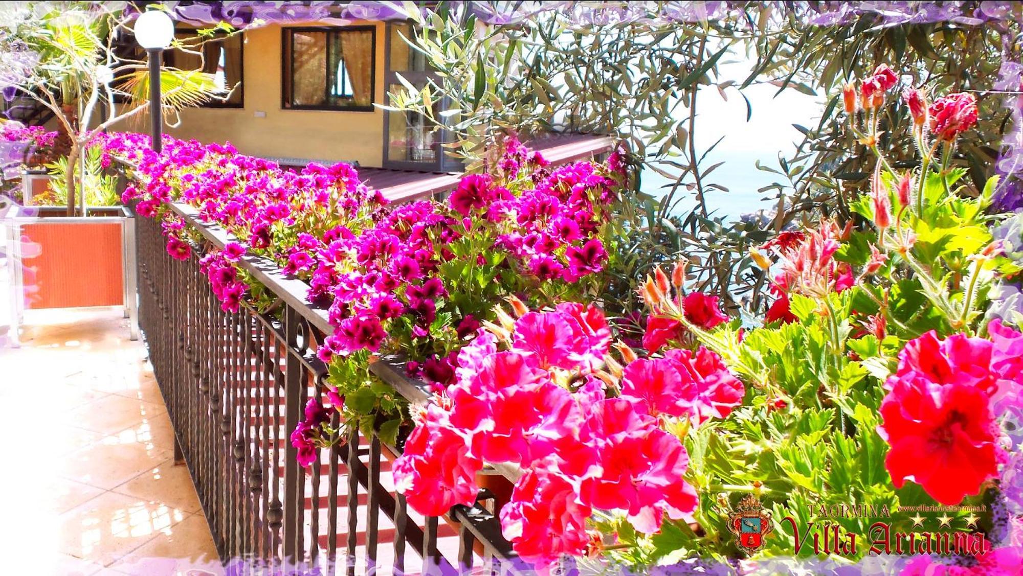 Villa Arianna B&B Taormina Exteriör bild